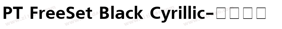 PT FreeSet Black Cyrillic字体转换